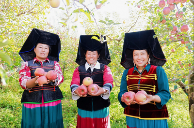 2025年宁蒗丰收节暨第三届苹果季开幕