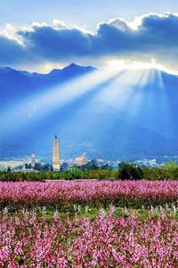 我爱你，大理！