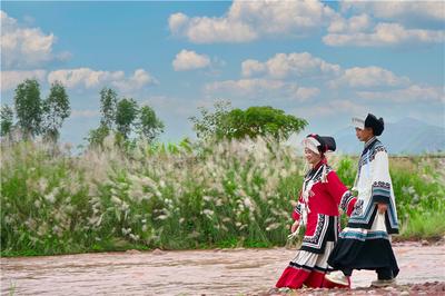 别错过！楚雄最后一波“醉美”秋色等你邂逅