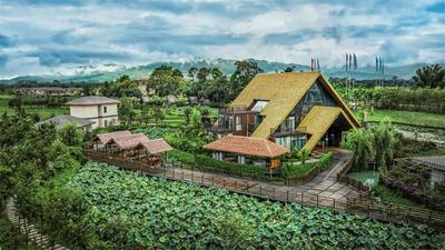 温润多彩的四季康养旅居目的地——德宏盈江“云南之蓝”旅居典型案例