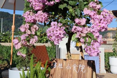 在宁洱横寨方寸小食光里，把日子过成诗—这里不赶时间，只种清风与欢喜