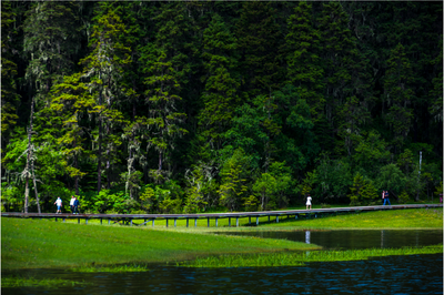 探秘香格里拉的“绿色心脏”——普达措国家公园