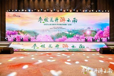 “冬暖花开游云南”2025冬季文旅推广活动走进武汉  共绘跨区域合作新图景 