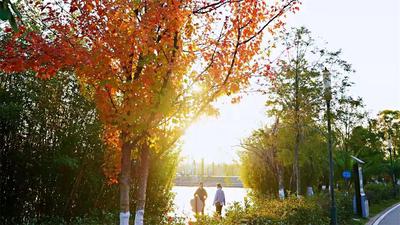 ​在楚雄，我找到了冬天最舒服的打开方式