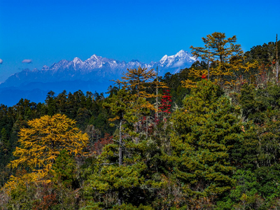 云南丽江：老君山九十九龙潭秋色如诗