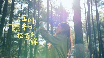 温润玉溪 旅居福地丨江川冬日，采菌寻鲜