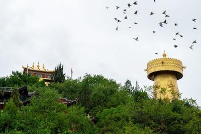 独克宗古城：在“月光之城”中赴一场浪“慢”之约