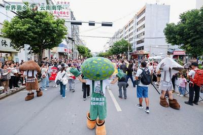 喜讯！楚雄州2个案例入选云南省第二批公共文化服务高质量发展典型案例名单