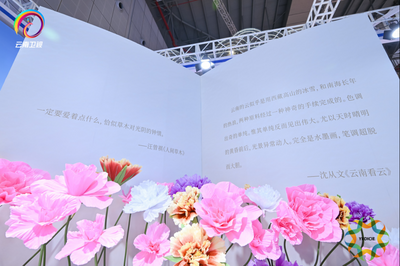 共饮一江水，共创新未来：第六届长三角文博会云南展区在沪惊艳绽放