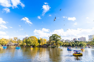 云游 | 跟着海鸥追鸥气！打卡云南湖光的冬日诗意栖居