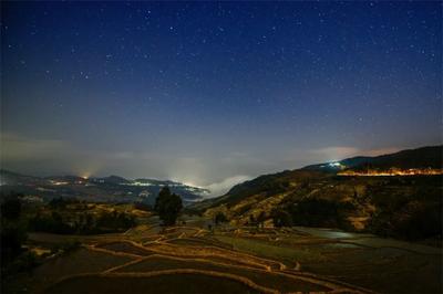 今天，去追星！