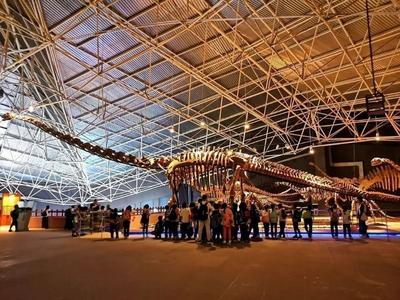 跟着赛事游楚雄 | 精品线路①：探秘楚雄·生命起源之旅