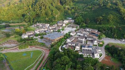 新的一年 从有风咖谷的治愈开始