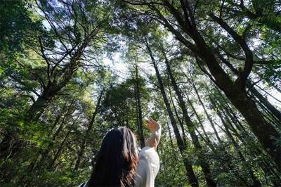 跟着“滇超”游楚雄 | 精品线路⑦：生态楚雄·森林康养之旅