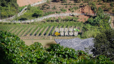 去有風(fēng)的地方，過治愈的生活