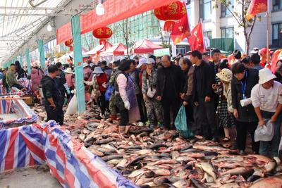溫潤玉溪 旅居福地丨12月25日，到江川赴一場開漁狂歡·湖光食色之旅