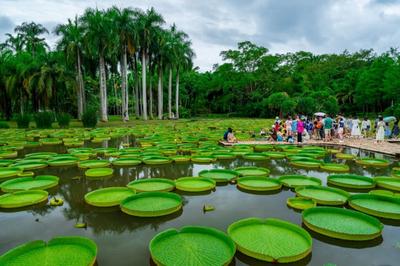 云游丨沿着中老铁路 邂逅“醉美”云南