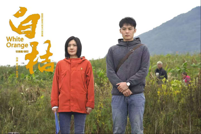 看影说影│桔香与归期 ——评电影《白桔》