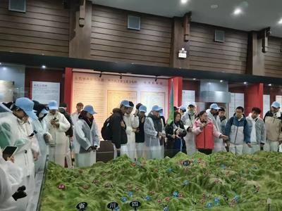 在丽江研学丨市博物院：以文化沃土滋养时代新人