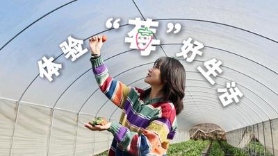 温润玉溪 旅居福地丨江川：冬日“莓”好奔赴，邂逅舌尖与田园的双重浪漫