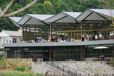 茶韵咖香润乡野  农文旅融合绘就普洱乡村旅游新图景