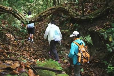 看“滇超联赛”，逛普洱，嗨元旦丨普洱漫游计划，元旦这样玩才够嗨！（县域篇）