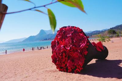 温润玉溪 旅居福地丨抚仙湖冬韵：红滩、杉影与鸥舞的三重奏