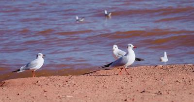 玉溪《滇中詩(shī)聯(lián)》2025年作品賞析（第23期）