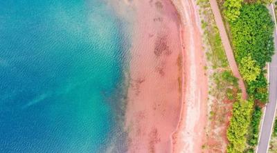 温润玉溪 旅居福地丨抚仙湖冬韵：红滩、杉影与鸥舞的三重奏