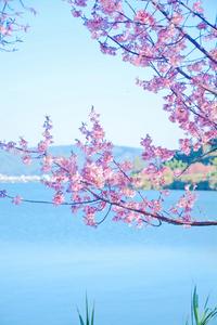 元旦出发红河，三天打卡冬日限定！