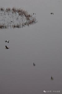 一念成湖 时光拾图