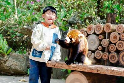 跟着赛事畅游普洱丨滇超联赛火热开赛！普洱踢球观赛畅游多重福利速领