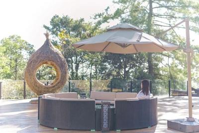 跟着“滇超”游楚雄 | 精品线路⑦：生态楚雄·森林康养之旅