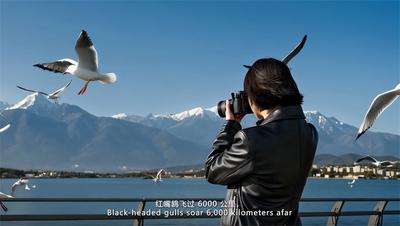 “旅居云南·心之所往”主题动漫全网上线 解锁“有一种叫云南的生活”