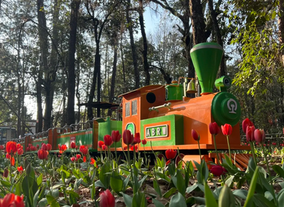 2026，从楚雄开始！元旦活动+超值优惠，最全游玩攻略来啦