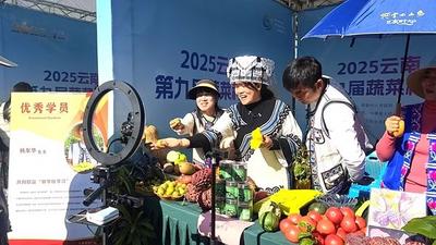 2025云南•元谋第九届蔬菜种业博览会种业展示展览举行