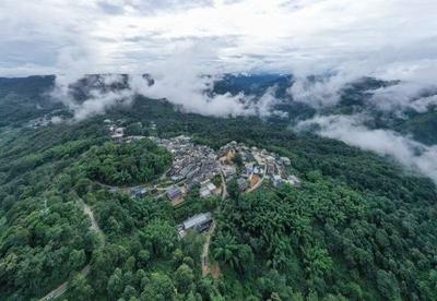 茶韵咖香润乡野  农文旅融合绘就普洱乡村旅游新图景