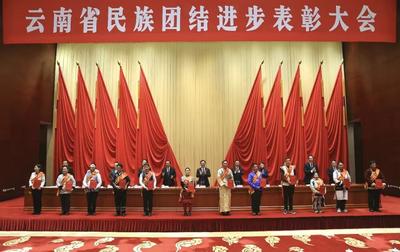 锚定主线凝合力 楚雄同心谱新篇丨云南楚雄州7集体8人获省级民族团结进步表彰