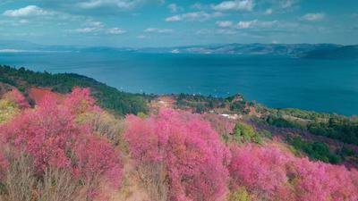 看“滇超联赛” 庆元旦 游玉溪丨三日游旅游线路推荐：寻生命之源，探湖光之色，观滇超联赛之跃动