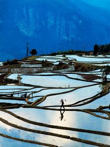 错过等明年，红河冬日“顶流”上线了！