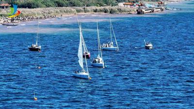 冬游抚仙湖，碧波扬帆！2025高原帆船赛暨青少年帆船嘉年华热力启幕