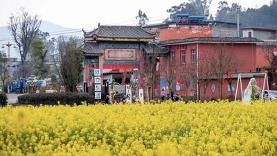 楚雄市以口夸村：绘就人居环境、乡村振兴与民族团结融合发展新图景