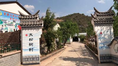 和美铸魂 乡村焕新——姚安大河口乡全力推进和美乡村建设