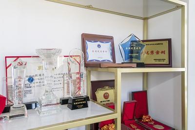 人物志丨耿国平：法制先锋与民生桥梁的躬行者