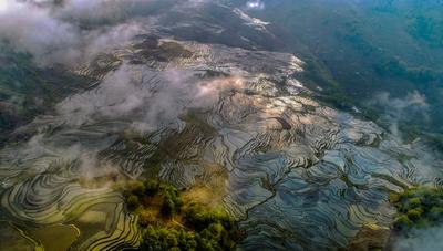 错过等明年，红河冬日“顶流”上线了！