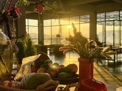 暖冬，去元谋江边！看一江碧水，忆一段红史，得一份自在