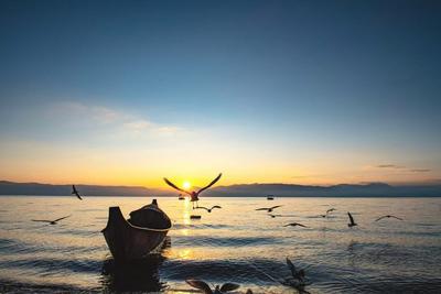 冬暖花开游云南｜邂逅冬日抚仙湖的限定浪漫