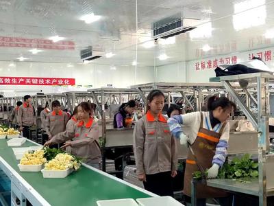 楚雄姚安：建强花卉产业学院打造“产教融合”新样板