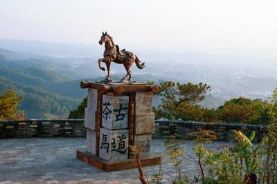 世界看见云南，而云南的“茶源道始”在普洱