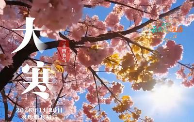 文明花开彩云南丨冬寒有尽，暖春有信